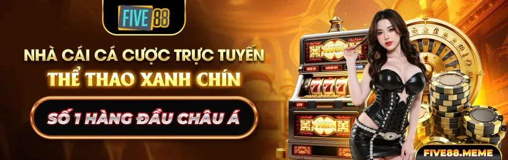 Điền thông tin