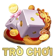 Cá cược trực tiếp, casino sống động